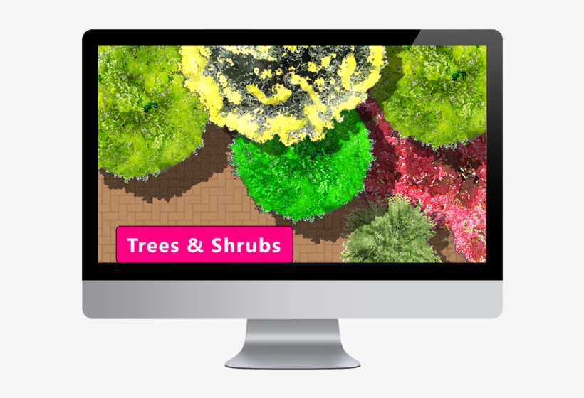 Top View Plants Images - Interior Design, transparent png