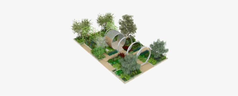 Hillier To Use Davidia Involucrata As Chelsea Flower - Chelsea Flower Show, transparent png