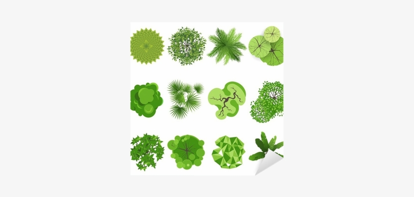 Simple Tree Plan View - 400x400 PNG Download - PNGkit