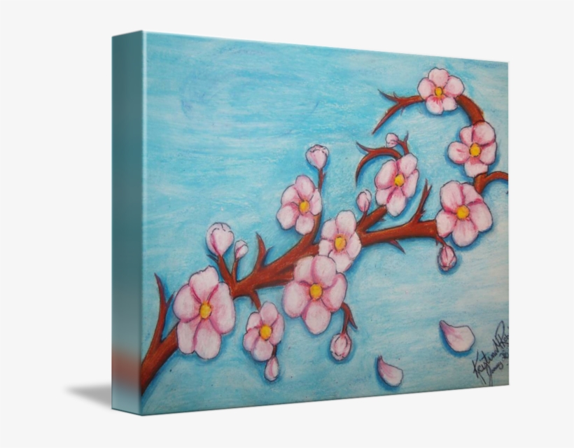 Cherry Blossoms By Kristina Robak - Cherry Blossoms, transparent png