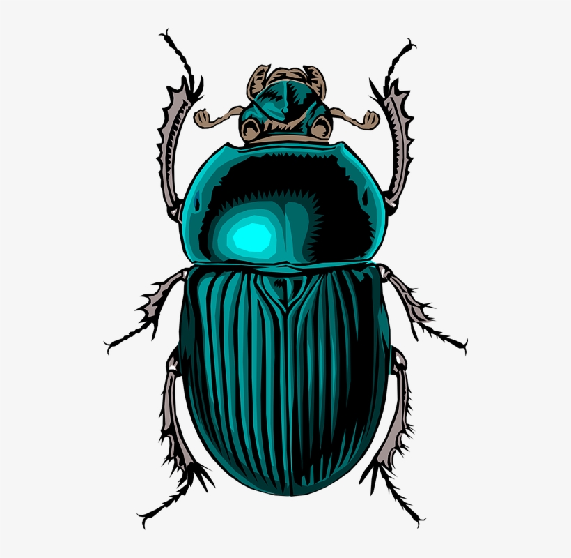 Scarab Beetle Tattoo - Egyptian Bug, transparent png