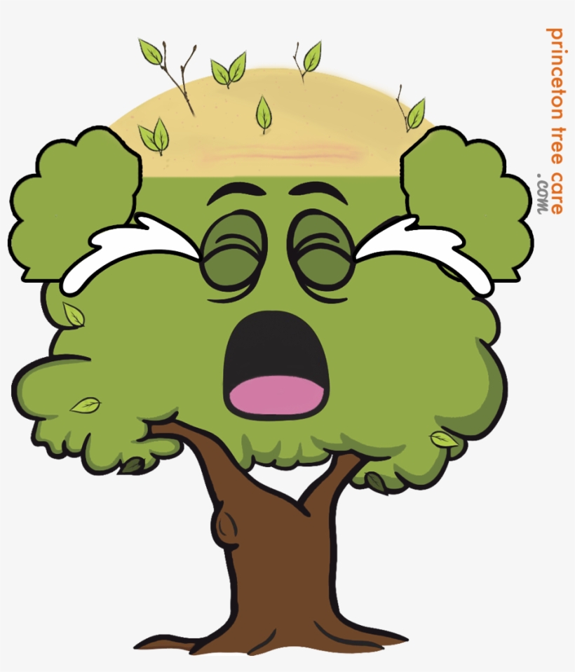 Tree Topping Trees Emoji 980x1045 PNG Download PNGkit
