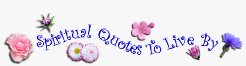 Spiritual Quotes To Live By - Wisdom, transparent png