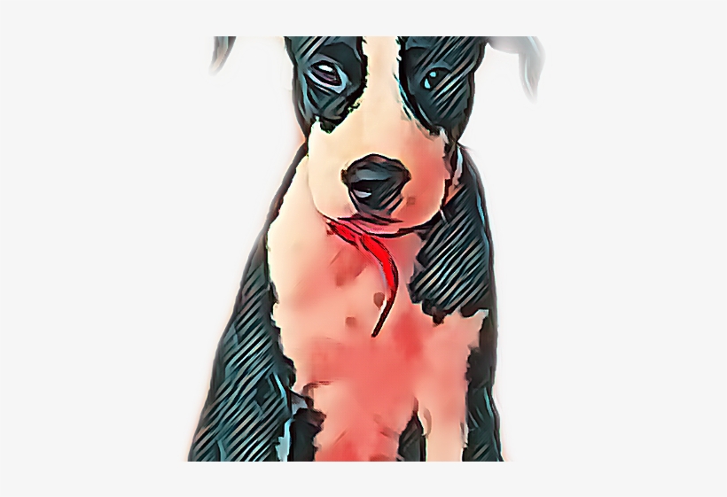 Boxer, transparent png