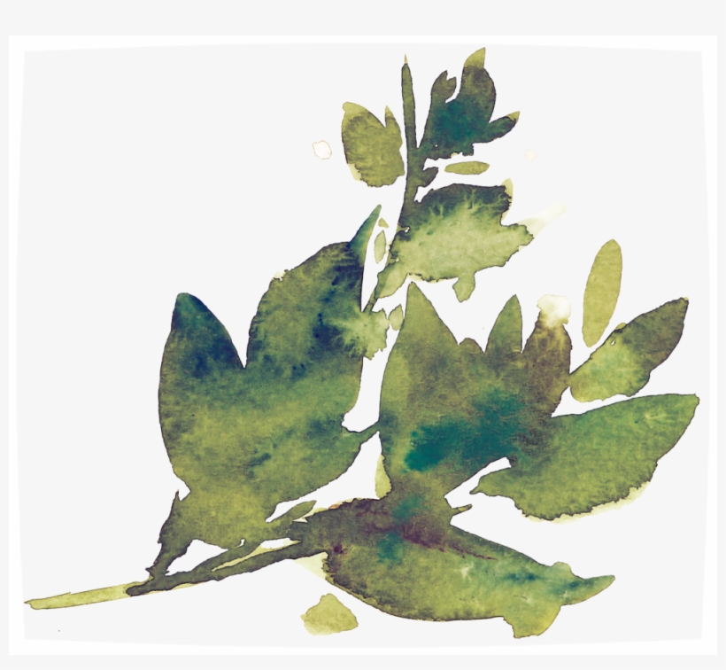 Greelement31, transparent png