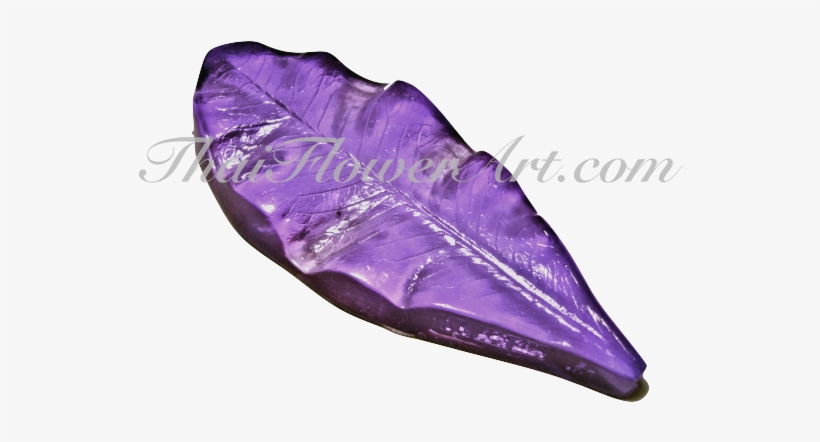 Crown Of Thorns, transparent png