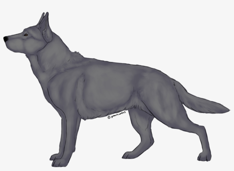 German Shepherd Lineart - Dog, transparent png
