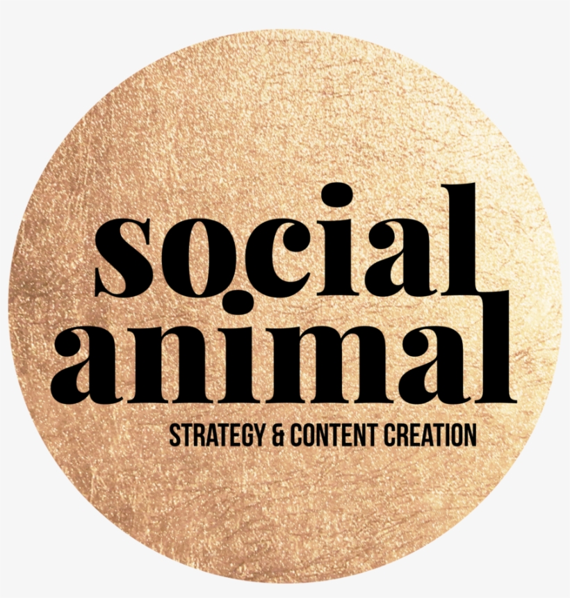 Socialanimal Gold Circle - Clothing, transparent png