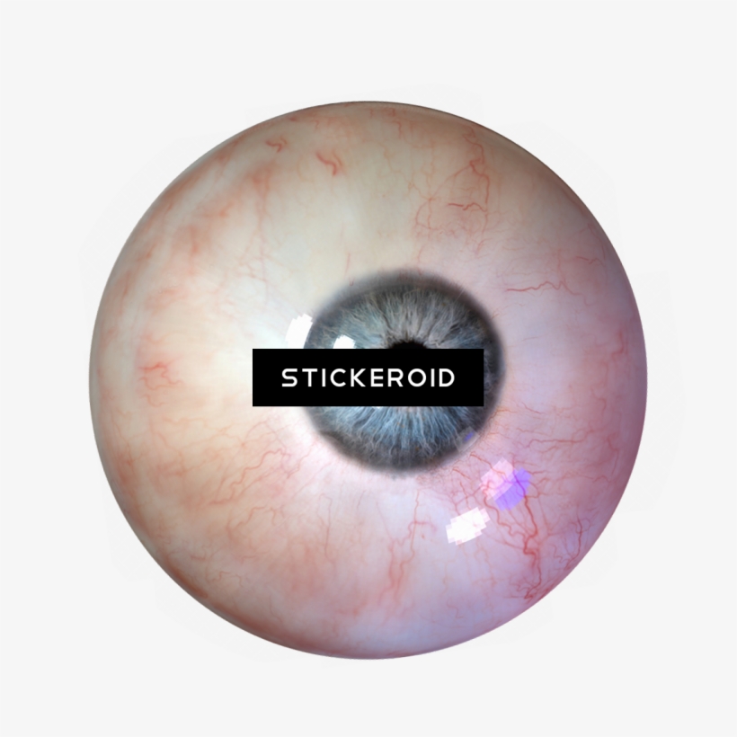 Human Eye - Circle, transparent png