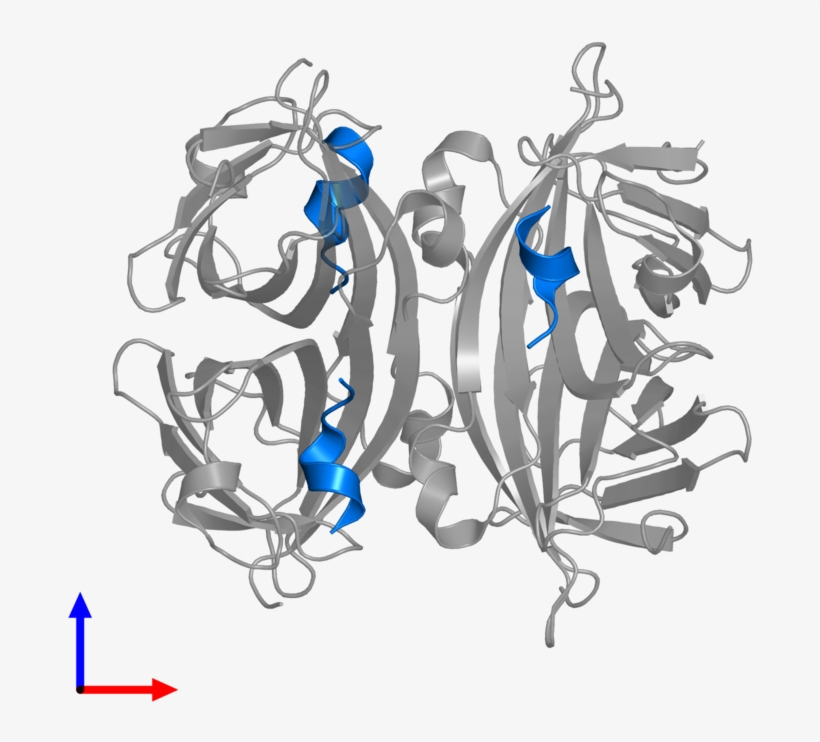 <div Class='caption-body'>pdb Entry 5n8j Contains 3 - Earrings, transparent png