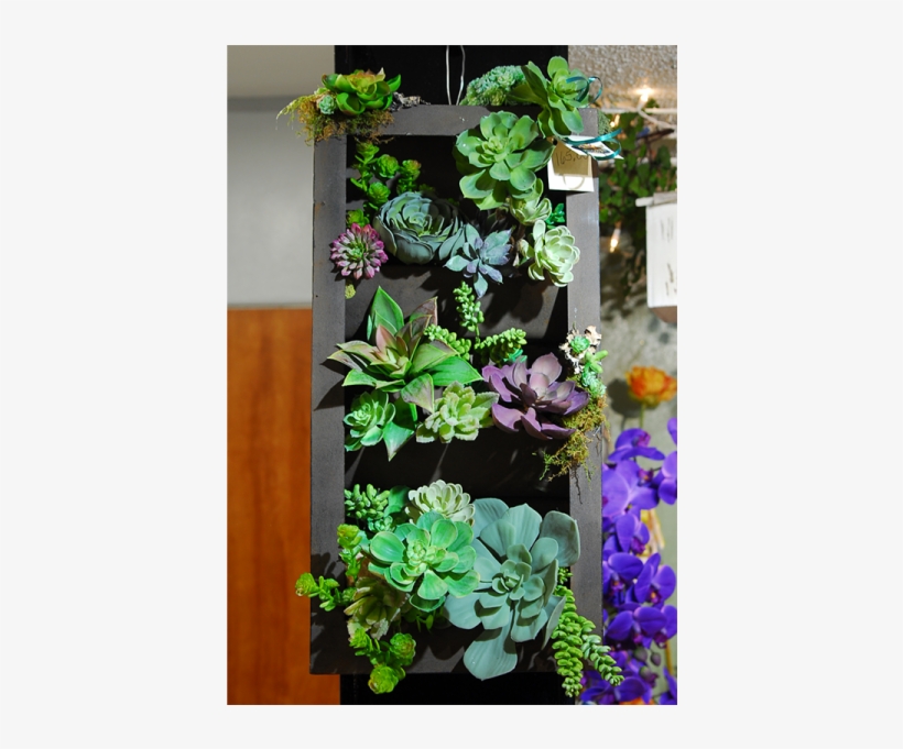 Hanging Silk Succulent Tray Garden - Succulent Plant, transparent png