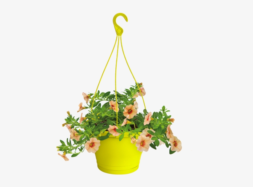 Home > Collection > Corsica Hanging Basket - Elho Green Basics Easy Hanger Small Mild Terra, transparent png