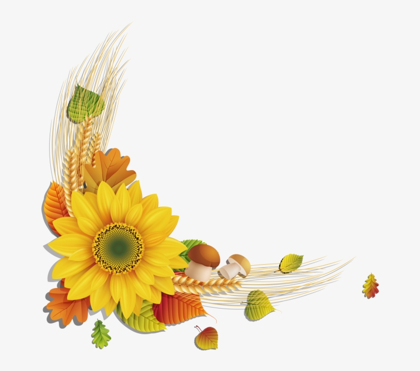 Sunflower, transparent png