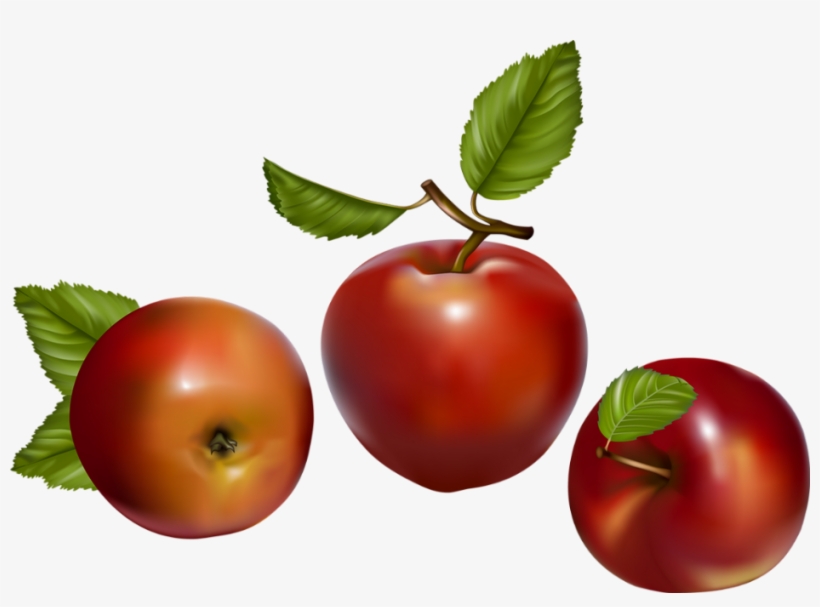 Fruit Vector, transparent png