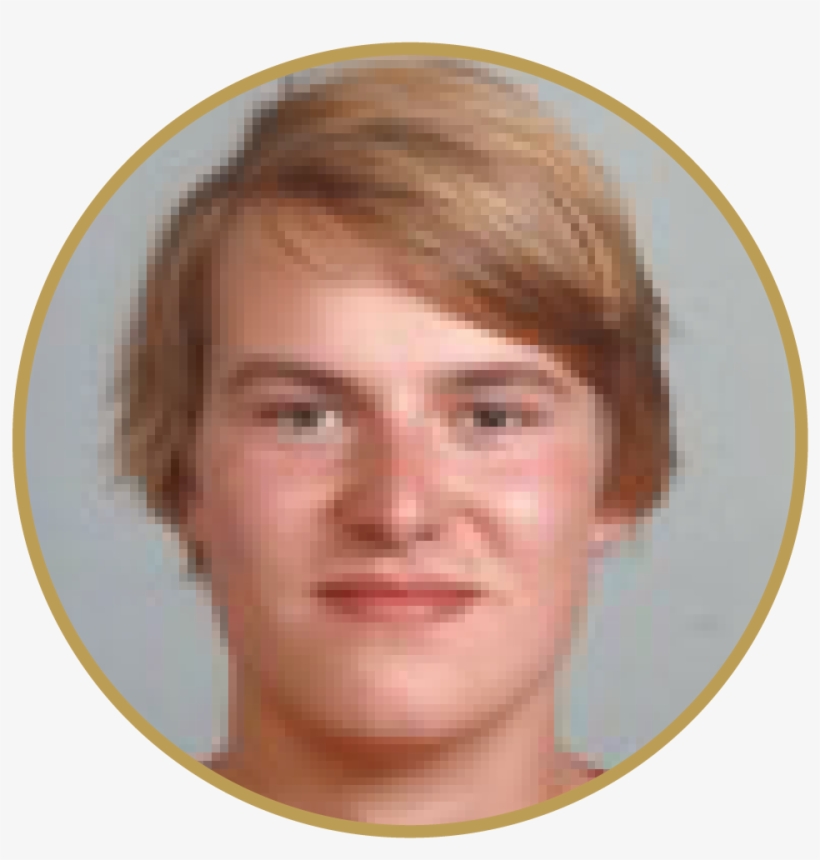 Bastiaan Woering - Girl, transparent png