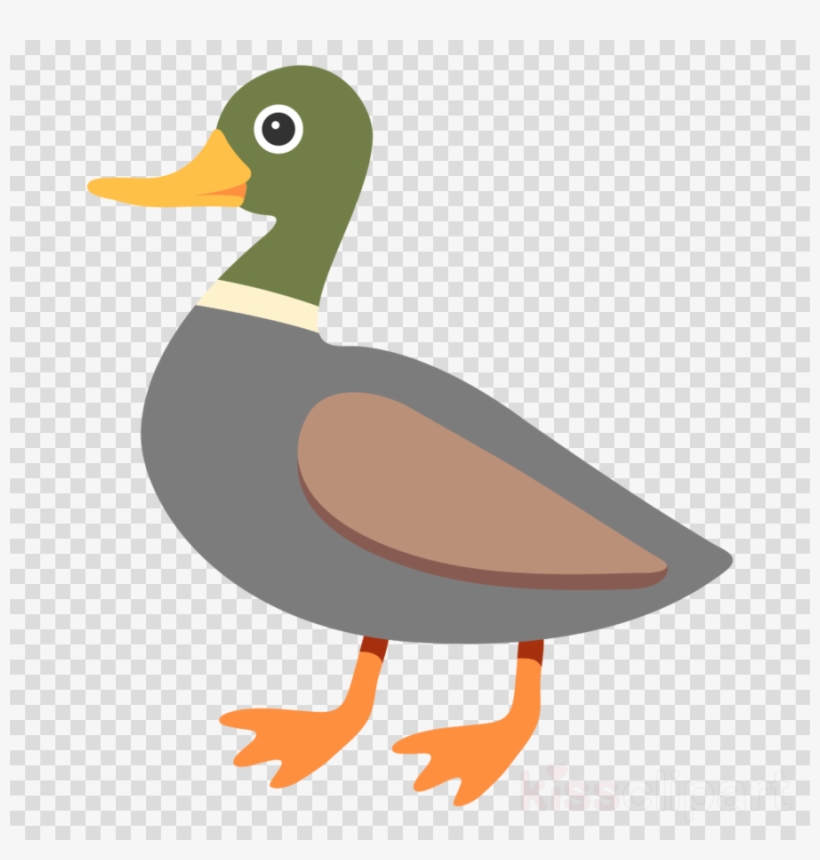 Goose Clipart Mallard Duck Goose - Duck Emoji Png, transparent png