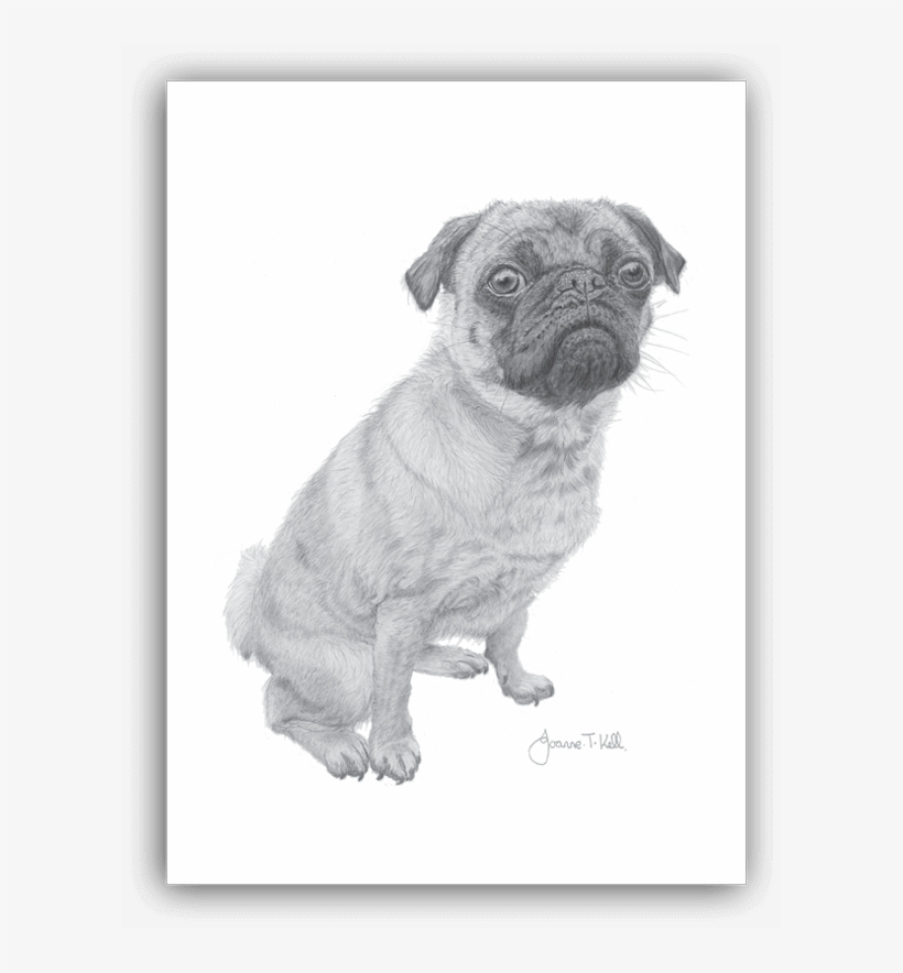 Pug Greeting Card - Pug, transparent png