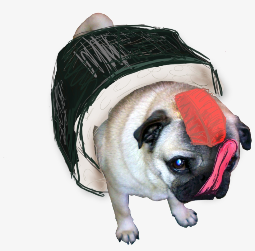 Transparent Pugs Drawn Sushi Pug - Transparent Pug Tumblr Drawings, transparent png