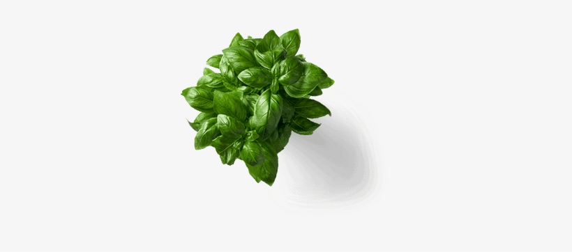 Add Parallax Effect To Your Layers - Restaurant, transparent png