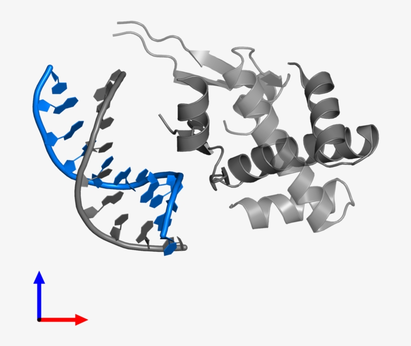 <div Class='caption-body'>pdb Entry 4yft Contains 1 - Calligraphy, transparent png