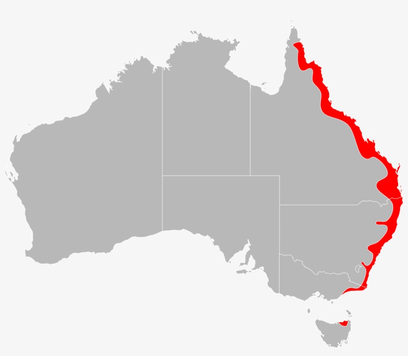 Ixodes Holocyclus Range Map - No Australia, transparent png