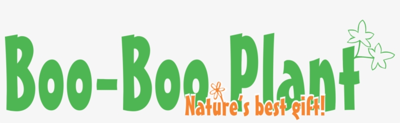 Live Succulent And Cactus Terrarium Necklace Plants - Coupon, transparent png