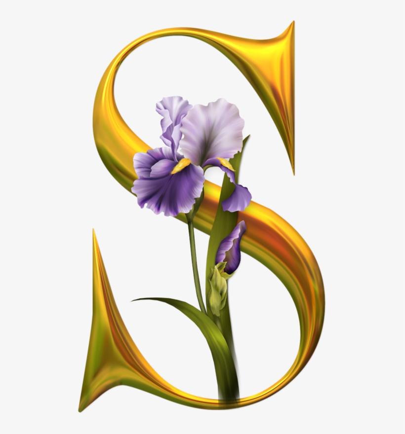 S - Susan In Letters, transparent png