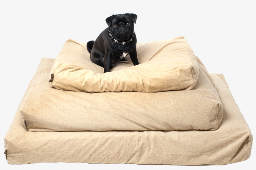 The Best Piddle Proof Dog Bed Protector - Oneforpets Piddle-proof Dog Bed Protector, transparent png
