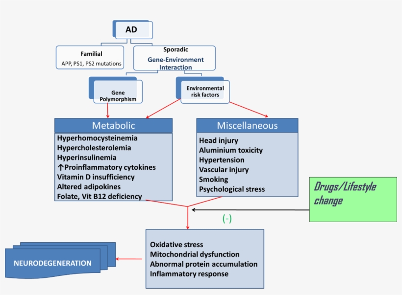 Viewdownloadnew - Familial And Sporadic Alzheimer's Disease, transparent png