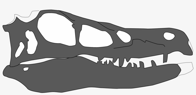 Linheraptor Exquisitus Skull - Linheraptor, transparent png