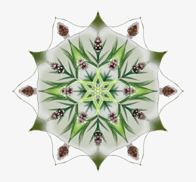 Search - Mobile Phone, transparent png