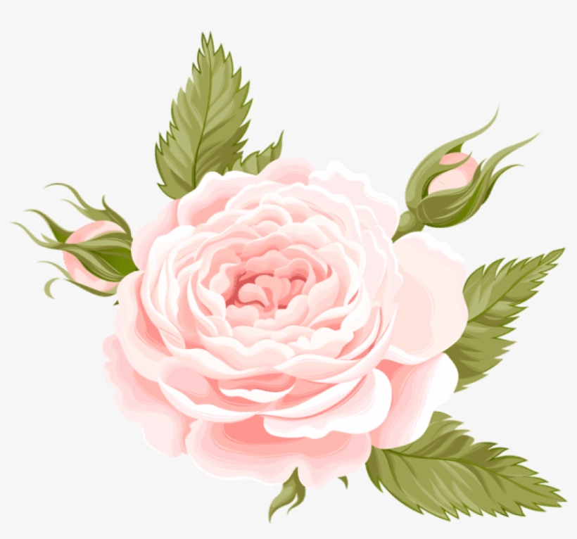 Free Png Rose Deco Png Images Transparent - Orita Amelie Paper 1 12 X 12, transparent png