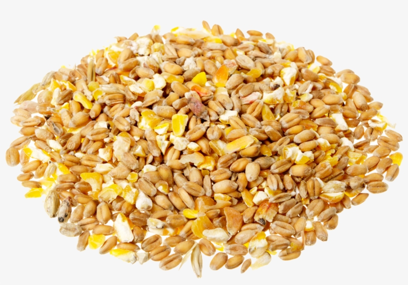 Overview Image - Maize Cereal, transparent png