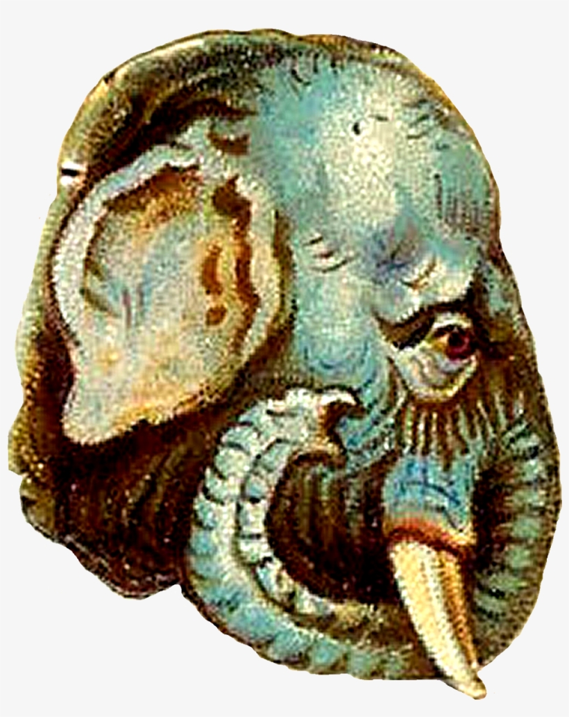 Elephant Head For Animal Bunting Free - Wild Boar, transparent png