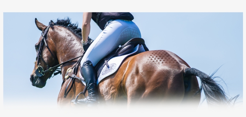 Kent And Masters Saddles - Privacy, transparent png