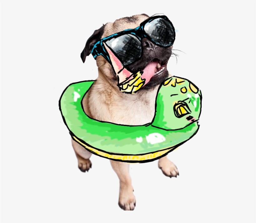 Drawn Transparent Summer Pug - Summer Pug Art Png, transparent png