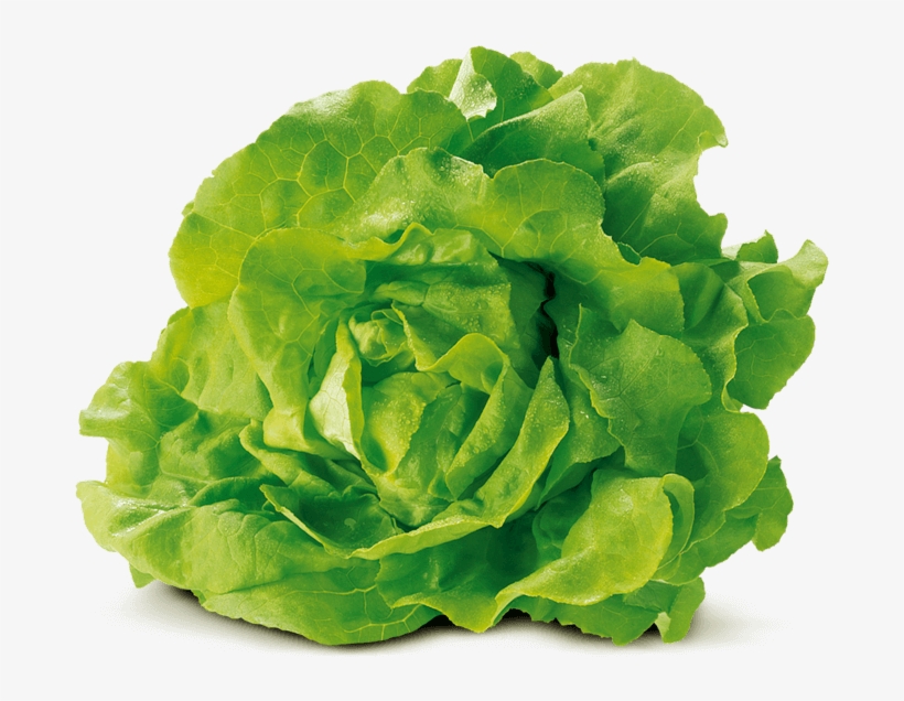 Cabbage-lettuce Von Elo, transparent png