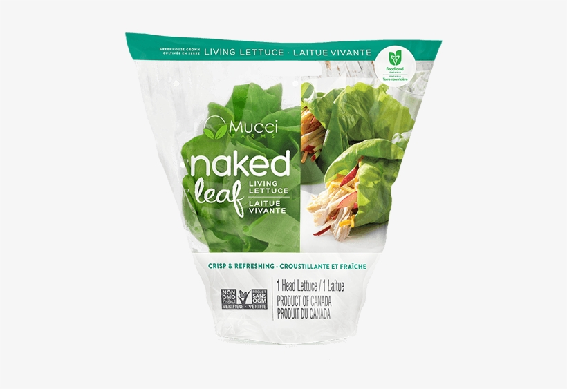 Butter Sleeve New - Mucci Farms Naked Leaf, transparent png
