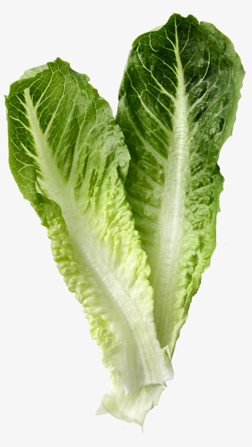 Wine - Vegetable, transparent png