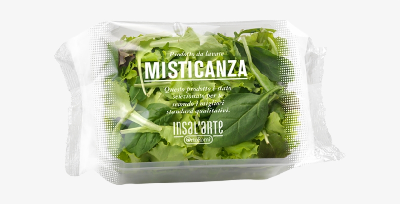 Iceburg Lettuce, transparent png