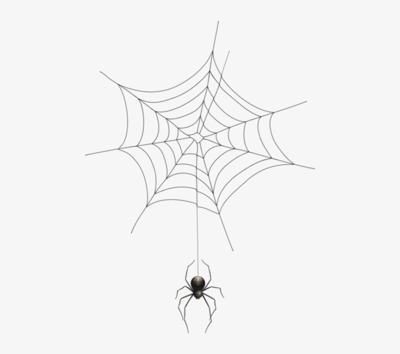 Free Png Spider And Web Transparent Png Images Transparent - Internet Trap: Five Costs Of Living Online, transparent png