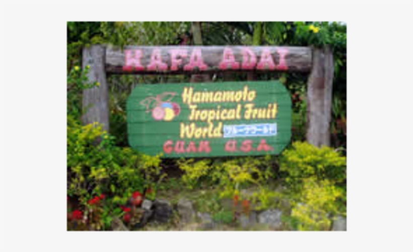 Hamamoto Tropical Fruit World, transparent png