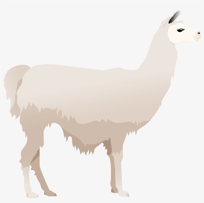 Llama Poster - Llama, transparent png