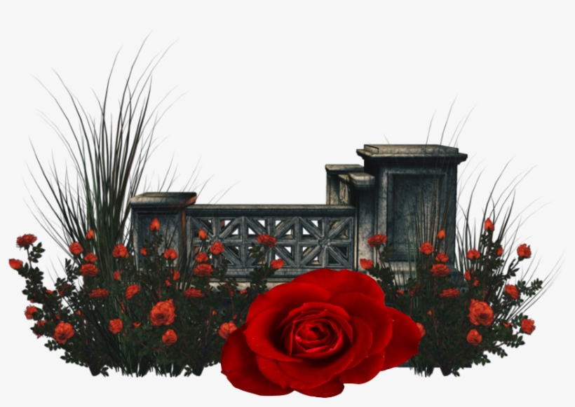 Garden Flower Rose Red Redrose Remixed - Clip Art, transparent png