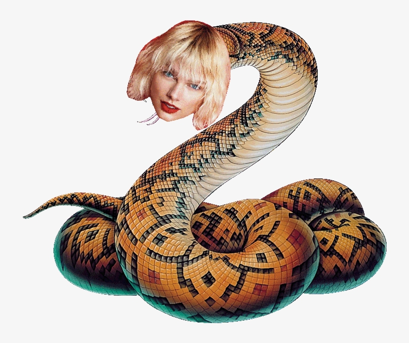 Snake - Snake Png, transparent png