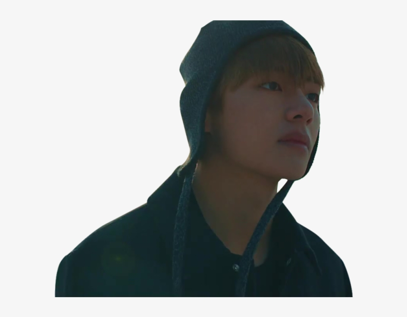 Taehyung Hat Spring Day, transparent png