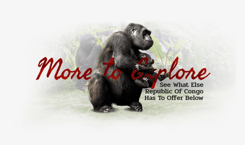 After Dinner Drinks Can Be Enjoyed Around A Communal - Click Wall Art Wood Slats Mojito Graphic Art On Plaque,, transparent png