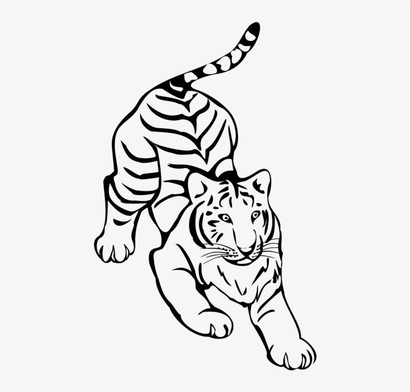 Tiger Png Clipart, transparent png