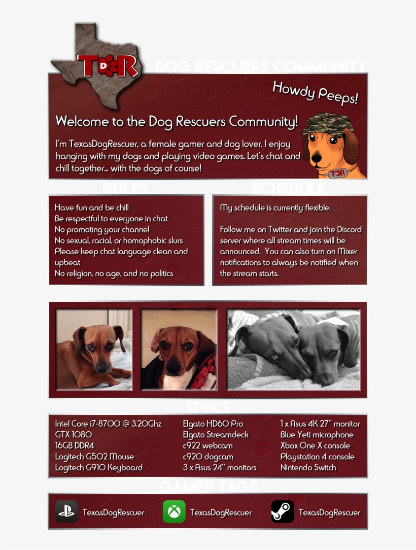 Browse Channels Login Community About - Companion Dog, transparent png