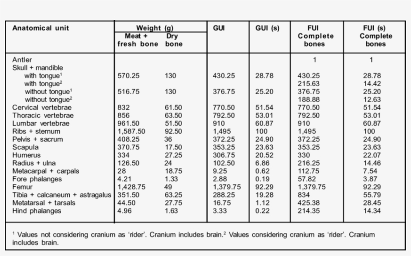 Residual Gui And Dry Bone Weight In Brown Brocket Deer - Brown Brocket, transparent png